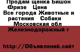 Продам щенка Бишон Фризе › Цена ­ 30 000 - Все города Животные и растения » Собаки   . Московская обл.,Железнодорожный г.